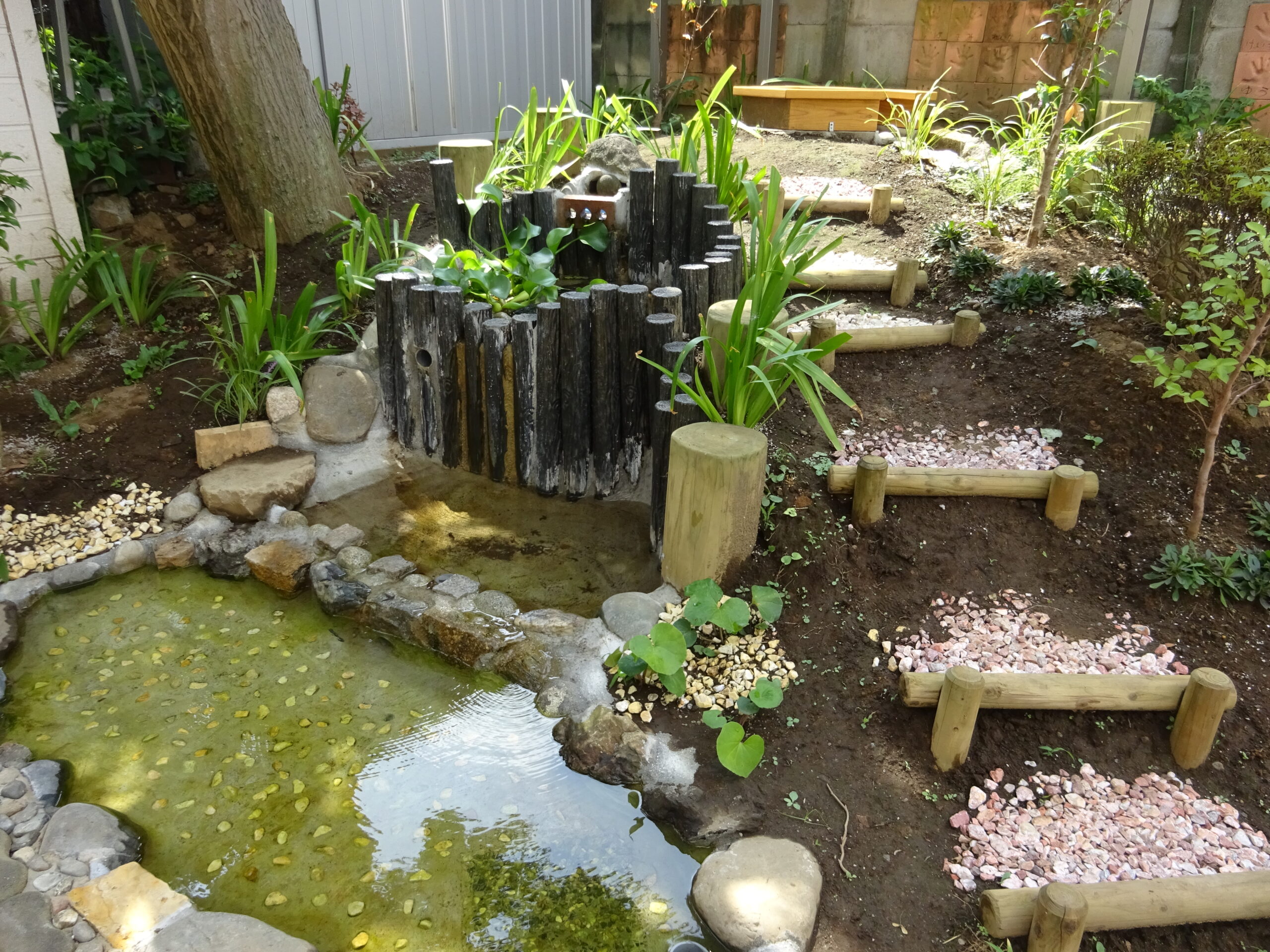 ぶどうの木保育園羽沢ビオトープ